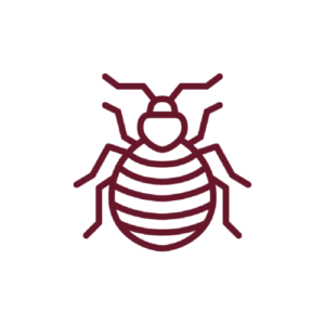 Bed Bugs Control Icon
