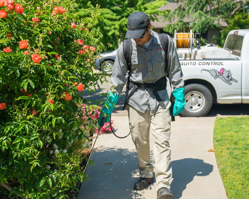 Spraying outside