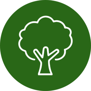 Tree Icon - San Joaquin Yard and Landscape Maintenance
