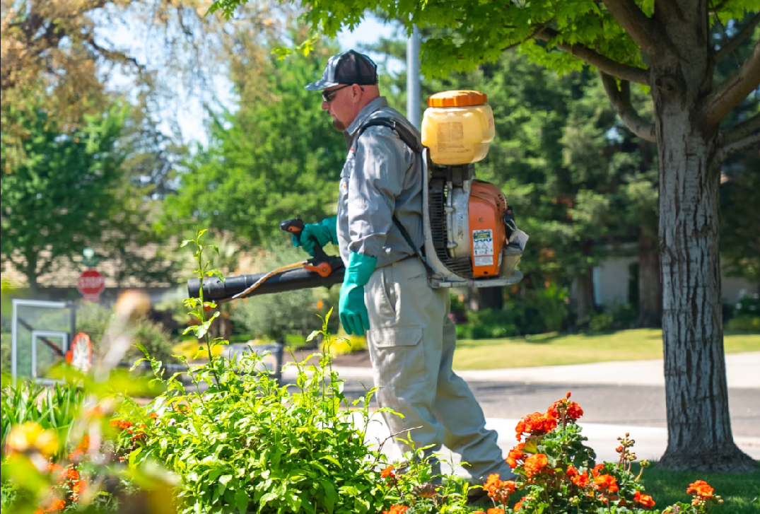 A San Joaquin Pest Control Technician is tending to a front yard pest inspection on a sunny afternoon