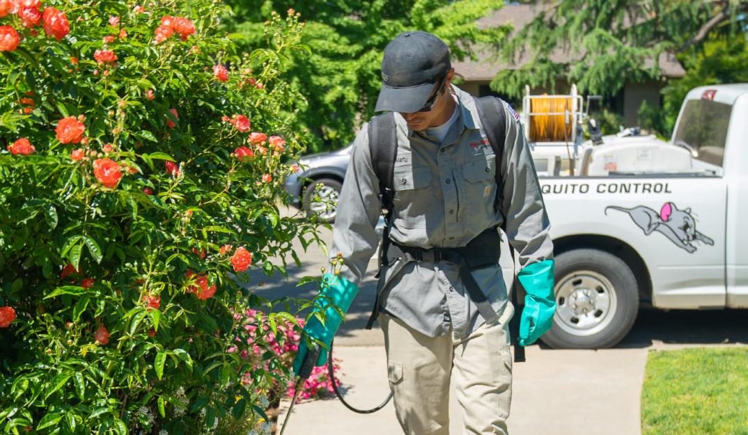 SJPC technician performing quarterly preventative pest control inspection at a Fresno home