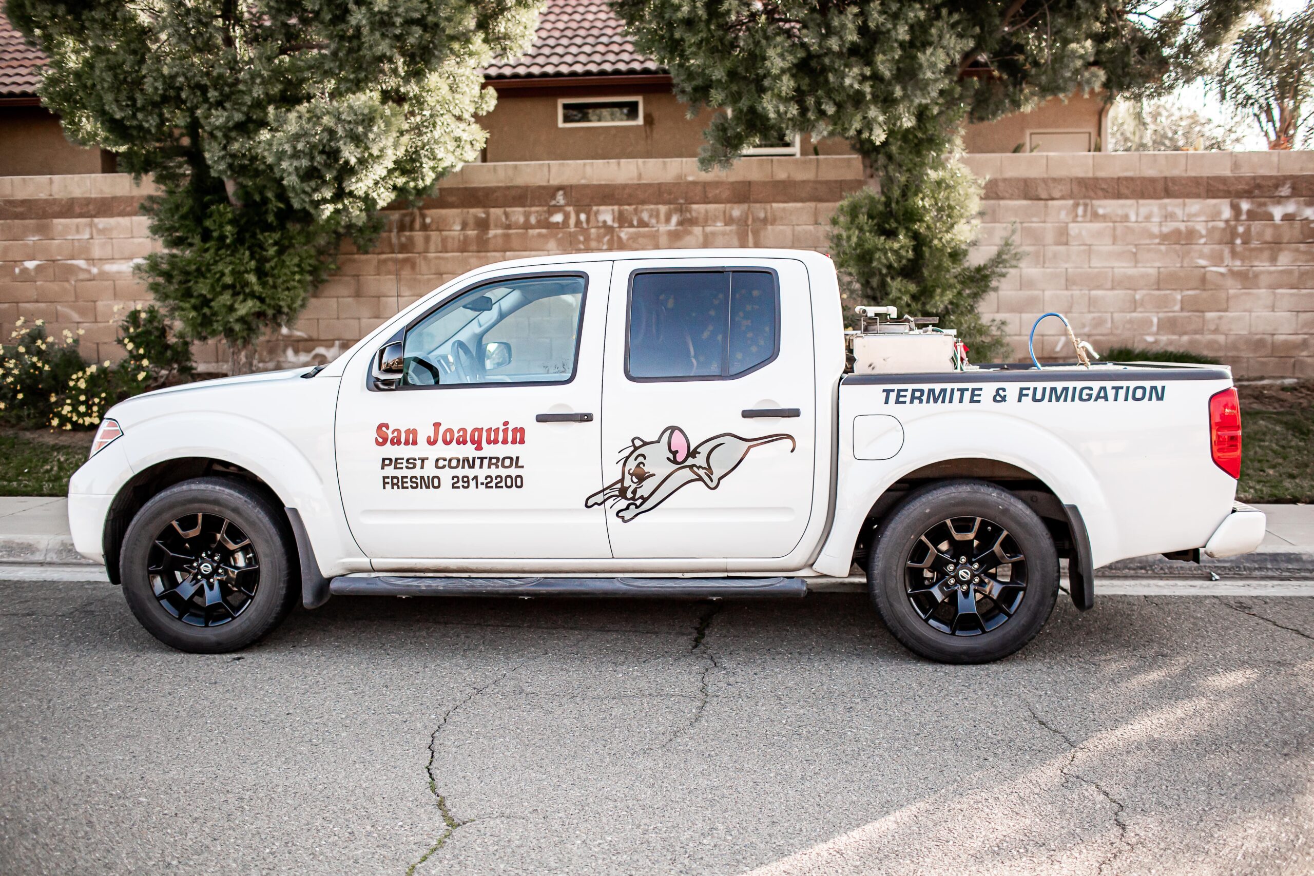 _X5B2874-min A white pest control pickup truck is parked on a residential street. The truck has "San Joaquin PEST CONTROL FRESNO" written on the side in red lettering, along with a cartoon drawing of a mouse running. On the back, it says "TERMITE & FUMIGATION." The truck has black rims. In the background, there's a low stone wall, some green trees, and parts of a house. The street surface shows some cracks.